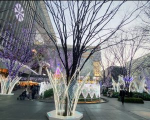 福岡おすすめ冬のデートコース｜博多クリスマスマーケット